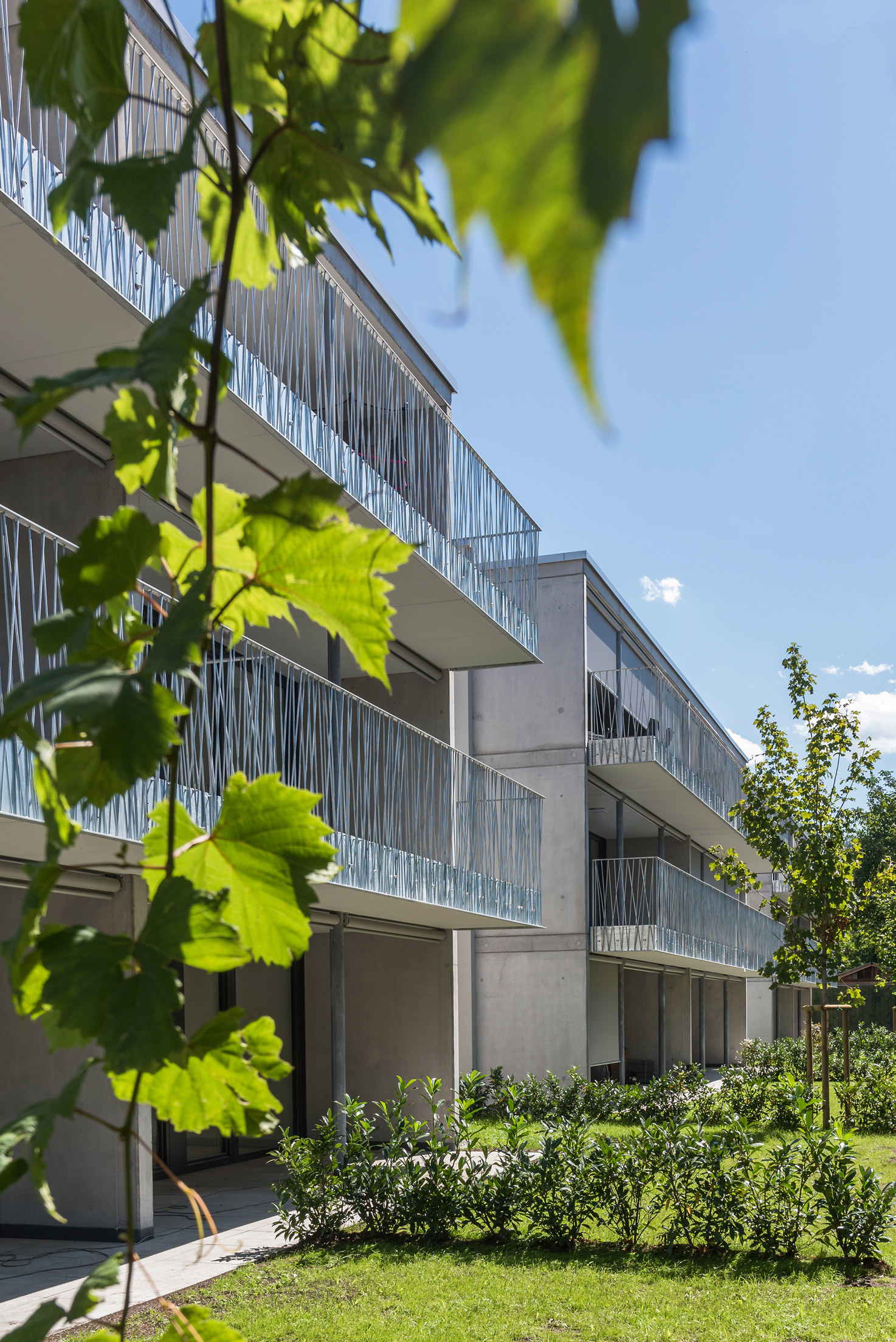 Wohnbau, Bifangstraße, Feldkirch - Byggearbejde