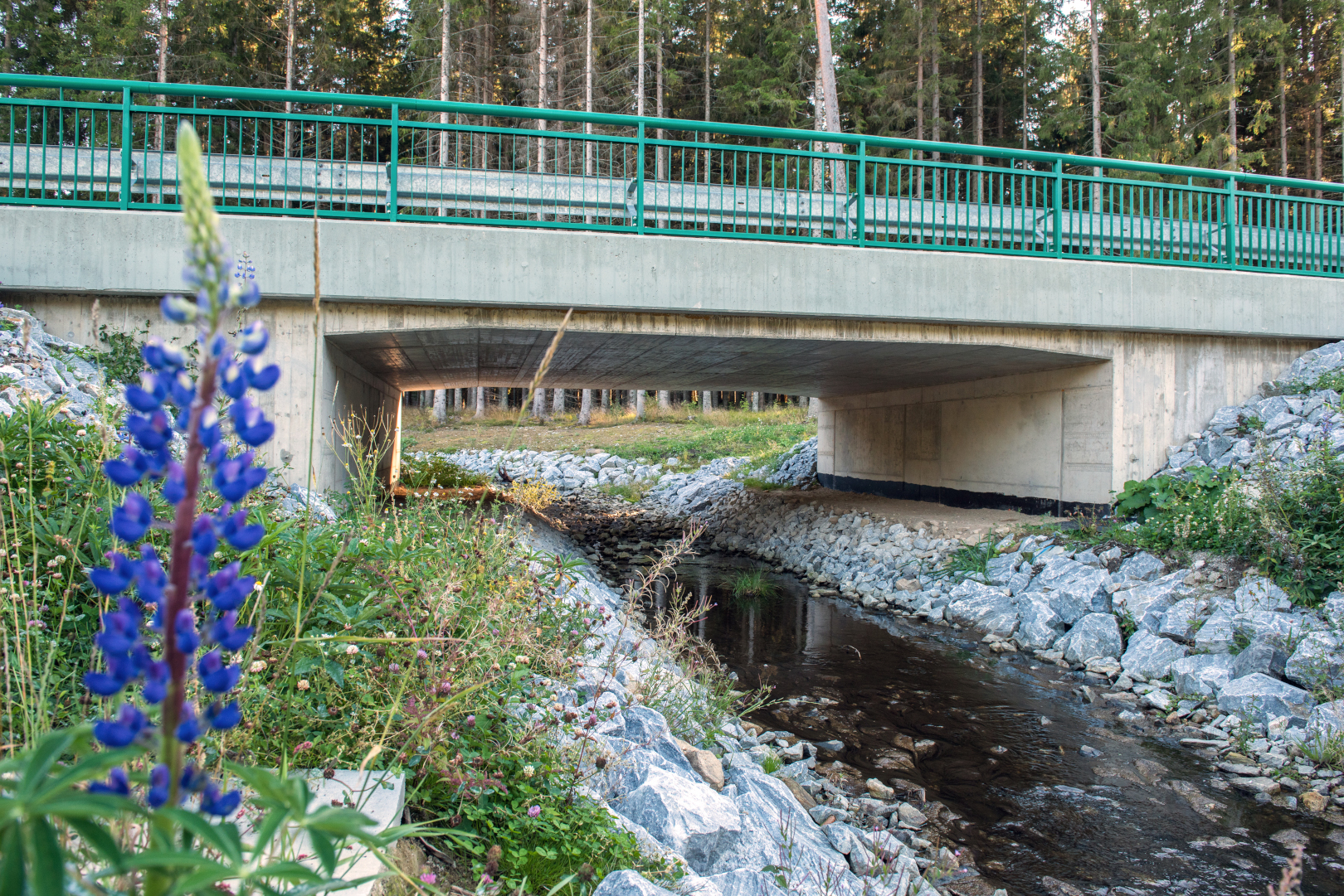 Zadní Zvonková – modernizace přístupu k hraničnímu přechodu CZ/AT - Vej- og brobyggeri