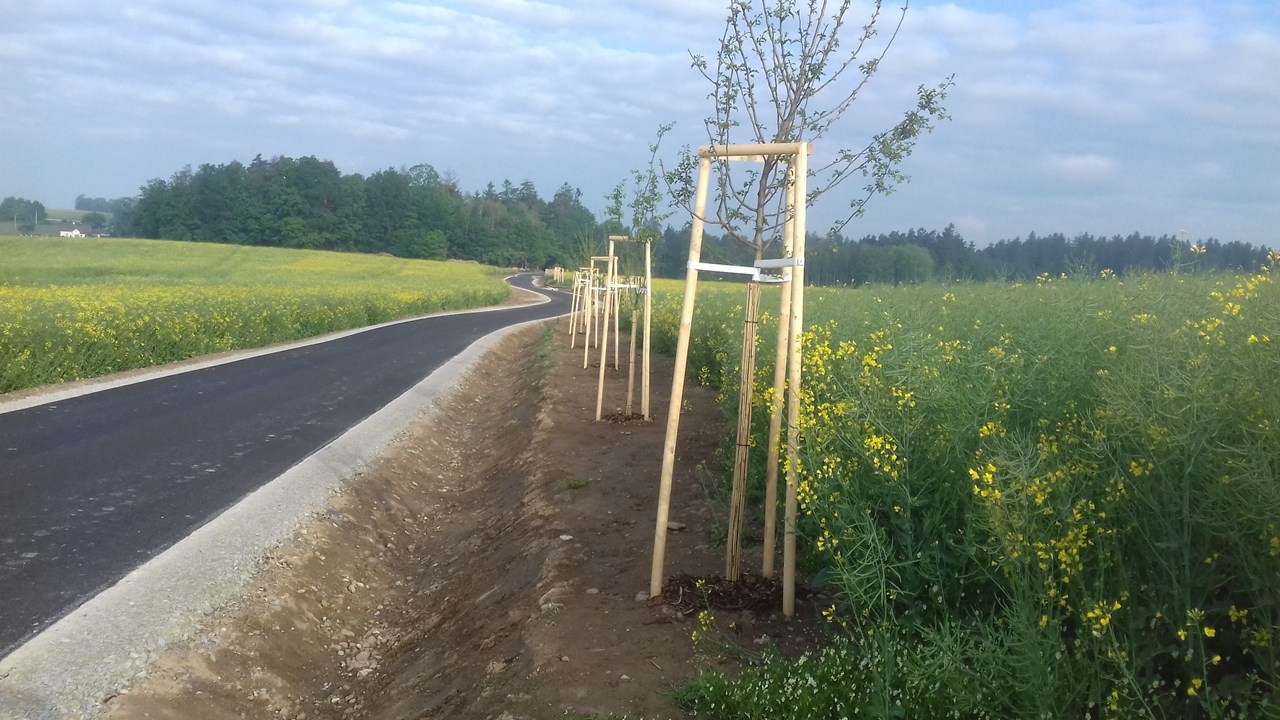 Cyklostezka – propojení katastrálních území Matná–Buk         - Vej- og brobyggeri Cyklostezka – propojení katastrálních území Matná–Buk         - Vej- og brobyggeri